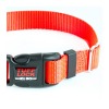 Premium TuffLock - Plastic Buckle Dog Collar - 04001.BRIGHTORANGE.RIGHT_resize