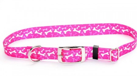 PetSmart Metal Dog Collars