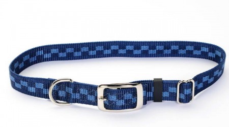 checkered dog collar