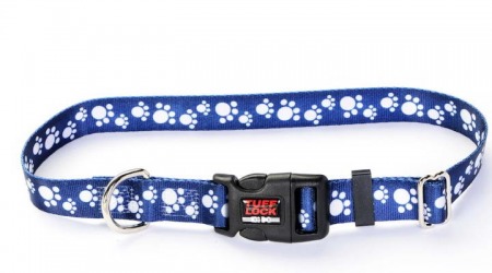Buy Cowboy Plastic Buckle Dog Collar at Premium Tufflock