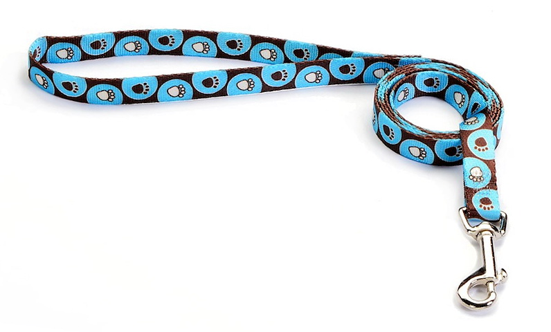 6' leash