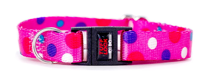 cat collar
