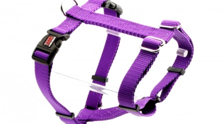 Tuff Lock Cat violet_figure-h_harness
