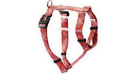 bandana dog harness