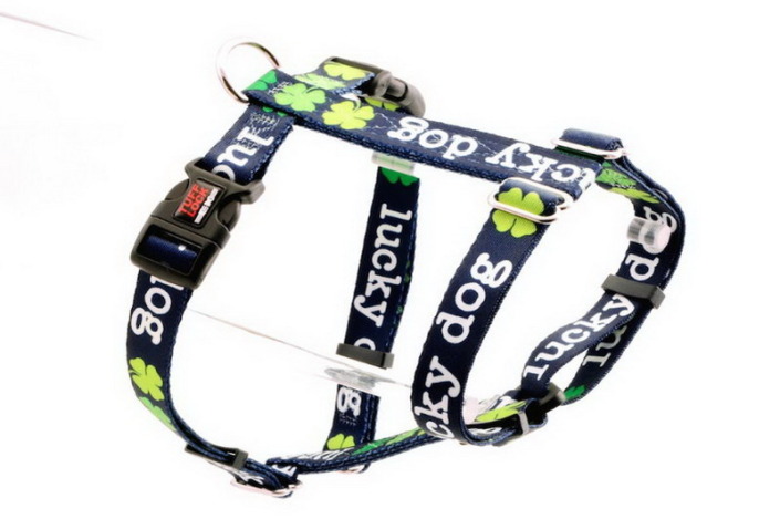 lucky dog leash