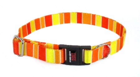 Aqua and Orange Quatrefoil Trellis Dog Collar miami Dolphins 