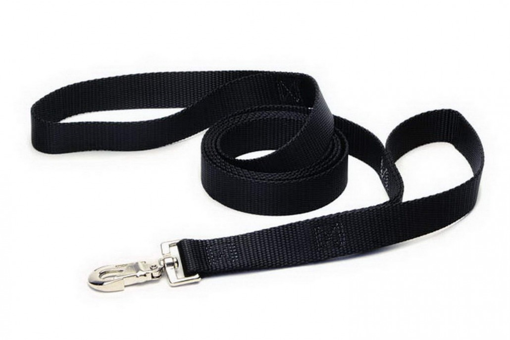 Black & White Dog Collars - Flowers Dog Collars and Leashes